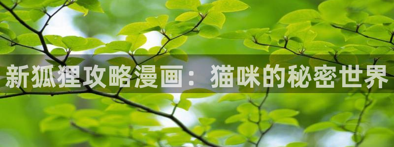 韩漫漫画免费阅读全集首页