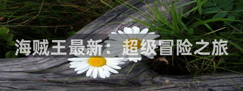 看韩漫的免费漫画软件：海贼王最新：超级冒险之旅