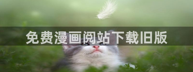韩国漫画韩漫在线阅读
