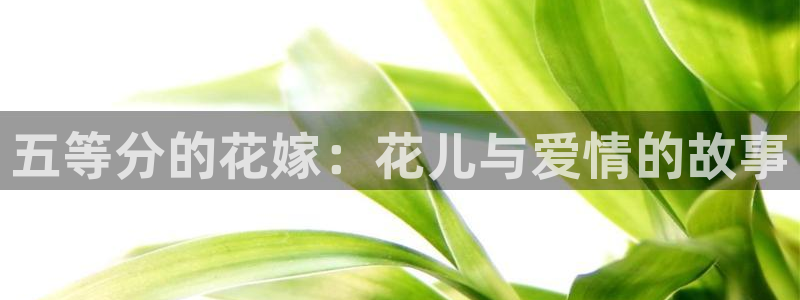 黄色韩漫在线观看免费