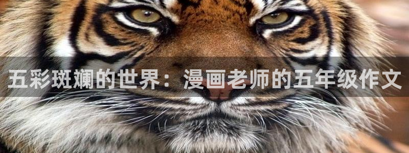 韩漫社免费漫画网站