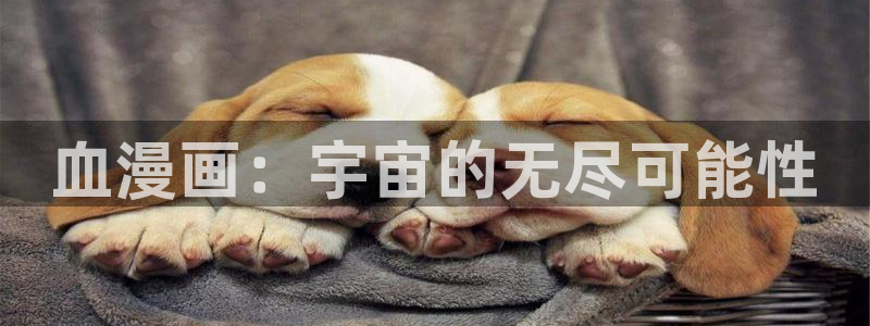 看 韩漫 免费