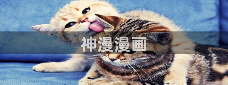 韩漫免费观看在线阅读漫画歪歪漫画