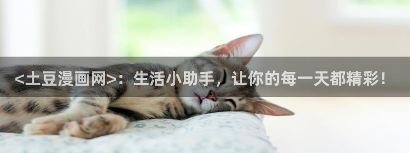美丽新世界漫画韩漫