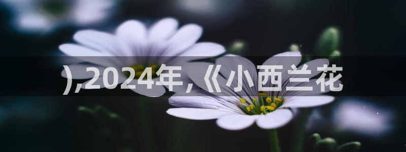 《左手韩漫画》