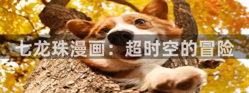 免费不遮挡韩漫画：七龙珠漫画：超时空的冒险