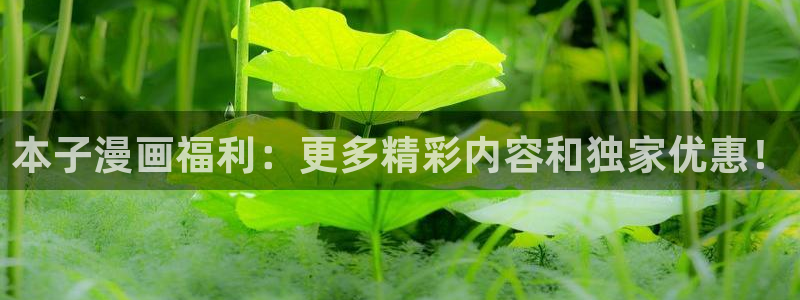 韩漫免费在线观看app：本子漫画福利：更多精彩内容和独家优惠！