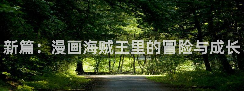 《三人》韩漫双男主漫画：新篇：漫画海贼王里的冒险与成长