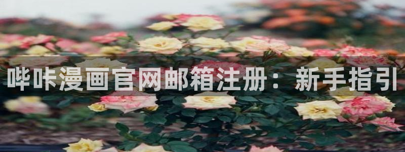 看韩漫在哪看：哔咔漫画官网邮箱注册：新手指引