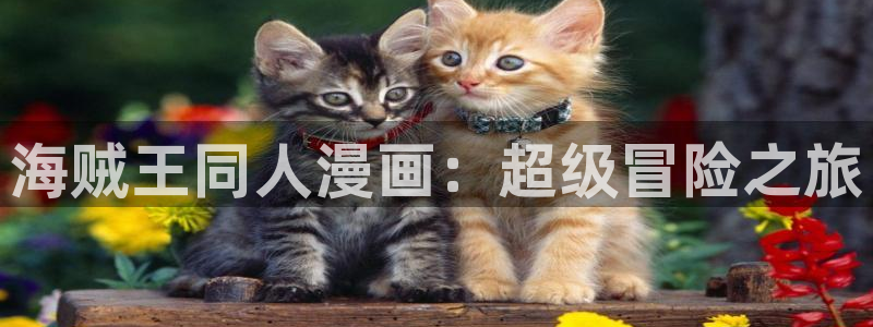 韩漫无删减漫画：海贼王同人漫画：超级冒险之旅