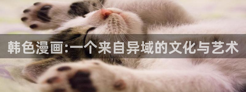 韩漫漫画免费观看软件有哪些
