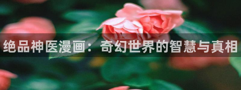 韩漫免：绝品神医漫画：奇幻世界的智慧与真相