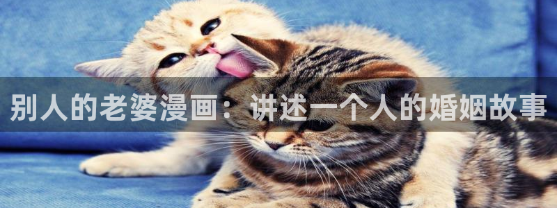 日漫韩漫免费看：别人的老婆漫画：讲述一个人的婚姻故事