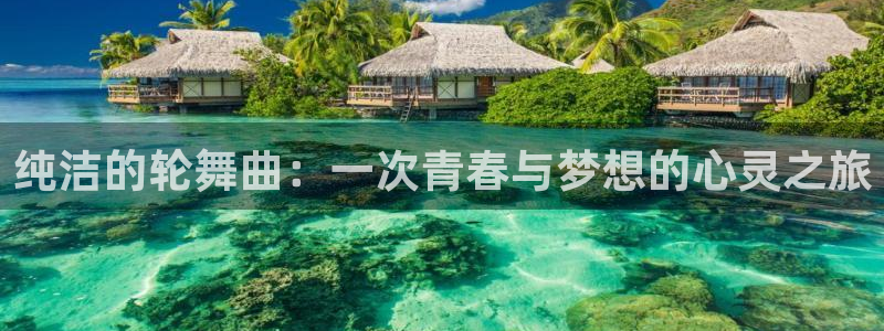 韩漫画真人版免费全集阅读：纯洁的轮舞曲：一次青春与梦想的心灵之旅
